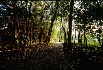 Untitled-70.jpg