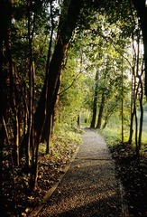 Untitled-80.jpg