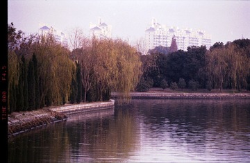 Untitled-6.jpg