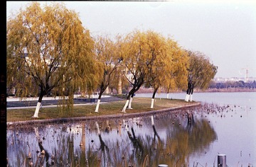 Untitled-9.jpg