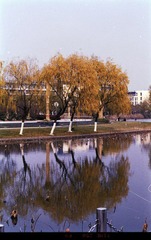 Untitled-11.jpg