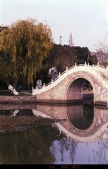 Untitled-14.jpg