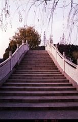 Untitled-16.jpg