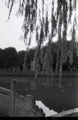 Untitled-5.jpg