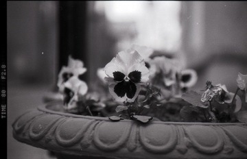 Untitled-12.jpg