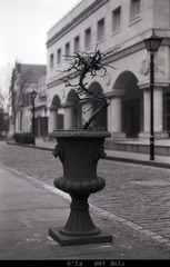 Untitled-18.jpg