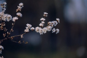 Untitled-15.jpg