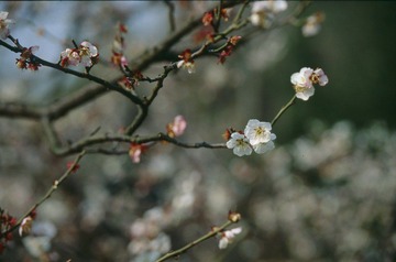 Untitled-18.jpg