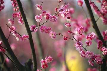 Untitled-20.jpg