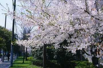 Untitled-22.jpg