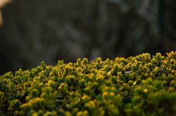 Untitled-25.jpg