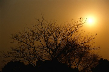 Untitled-26.jpg