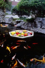Untitled-31.jpg
