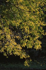 BBD16E97-C43F-4214-86A7-361697C9D634/L0/001