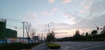29061