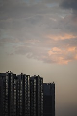 1000045417