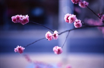 20120819-Scan-120818-0035-Edit.jpg