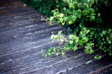 20121025-Scan-121025-0009-Edit.jpg