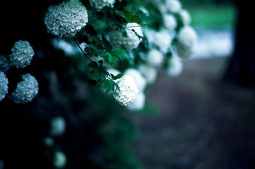 20121025-Scan-121025-0014-4-Edit.jpg