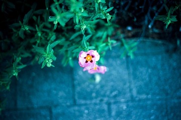 20121025-Scan-121025-0017-4-Edit.jpg