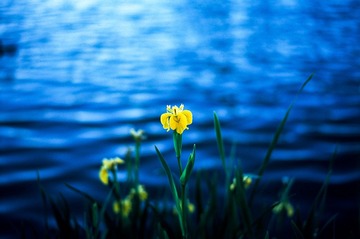 20121025-Scan-121025-0020-3-Edit.jpg