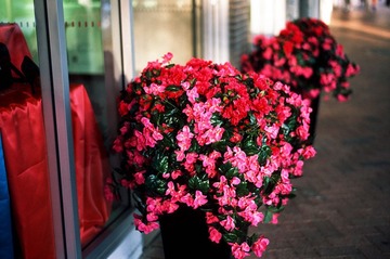 20121025-Scan-121025-0036-3-Edit.jpg