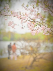 B05F68C6-E925-432D-A77A-93DC3B7700B9/L0/001