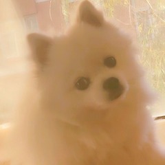 16DD734F-4473-4790-BC7E-7FC8FF5E73E3/L0/001