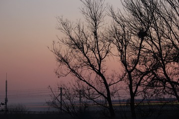 65270277-8350-4A8C-BCD4-8107BD73937A/L0/001