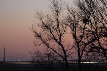A3F0386F-585B-4DDC-BD59-57B8A962A386/L0/001