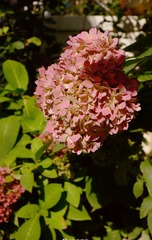 E8D35277-EB51-46A4-99B5-868B4164396D/L0/001
