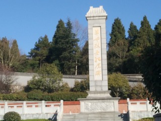 258643