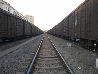 255532