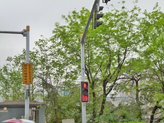 397803