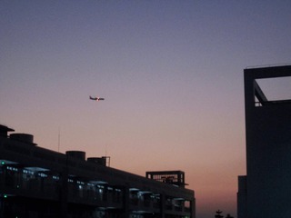 8F5A6061-C68F-43C9-B528-DA1656E627DE/L0/001