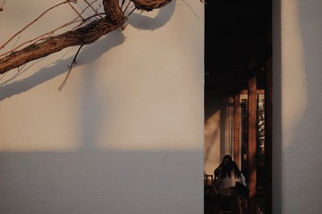 3809288