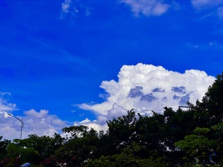 E9A4EE8A-7183-4B61-B3E6-97010CC2C6F0/L0/001