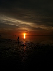 EDDFC009-EBFE-43F8-9CA8-07339ABBF65B/L0/001