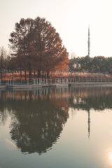 D89352C3-1B24-4AE4-AE9A-99748A8577F9/L0/001