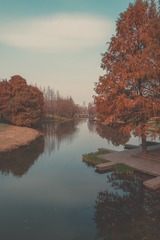 F982AE2B-F8BE-49B8-BA4E-7236C2AC785D/L0/001