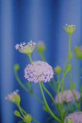 A82417DC-9F48-42F1-9D91-22F0B073F1E3/L0/001