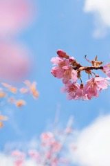 B641B010-CA77-4110-B14A-A0B7F22C68B9/L0/001