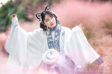 86118