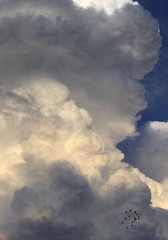 _DSC3278