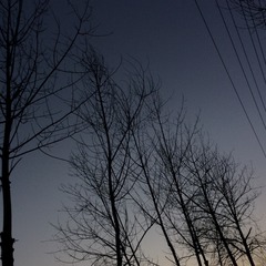 3FEC7D56-EBC6-4EA0-8542-C9DF41D90A1C/L0/001