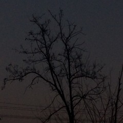7133CF3F-50DF-4663-A9F0-C22E4D377BD5/L0/001