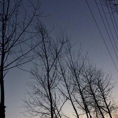 79A6079C-766F-4DF7-8E9B-5038180B9923/L0/001