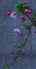CED4C607-9A2F-4F6C-B424-9BD58508DF62/L0/001