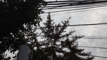 AE58CF65-D48F-4EE4-A048-73AAB8DA237B/L0/001