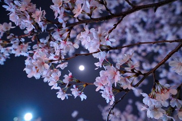B481719B-C963-48E9-9851-657C46597DB9/L0/001